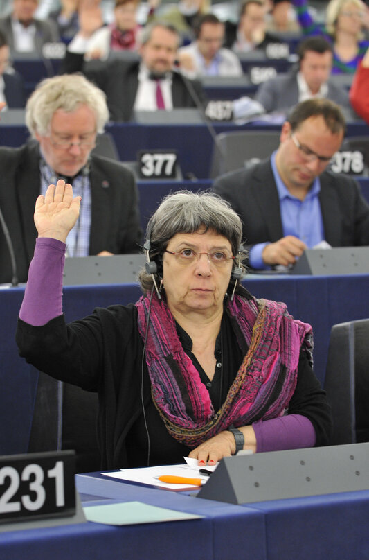 plenary session in Strasbourg week 21 - 2012, voting