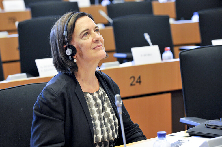 Photo 11: Hearing on Future role of the European Court of Auditors: challenges ahead and possible reform