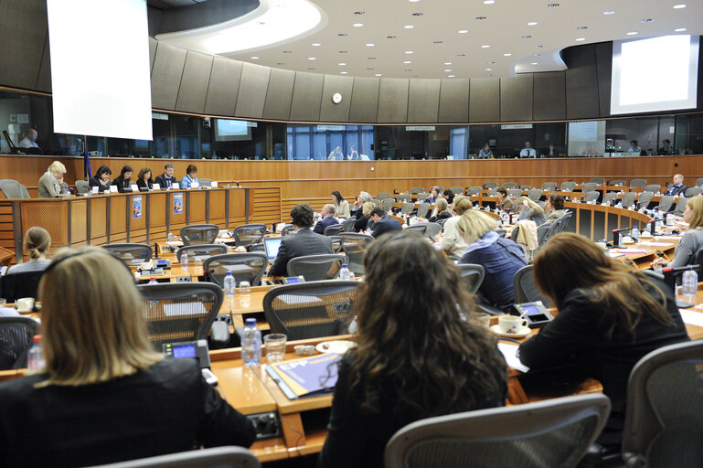 Fotografie 13: Hearing EPP - Prevention of age related diseases of women