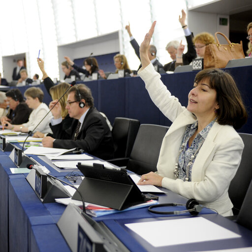 Fotografie 2: MEP Maria do Ceu PATRAO NEVES voting in plenary session