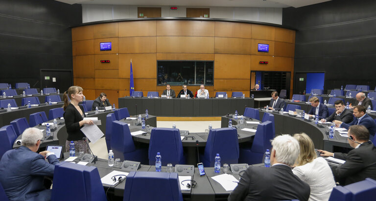 Fotografija 8: Meeting of the Minority Intergroup