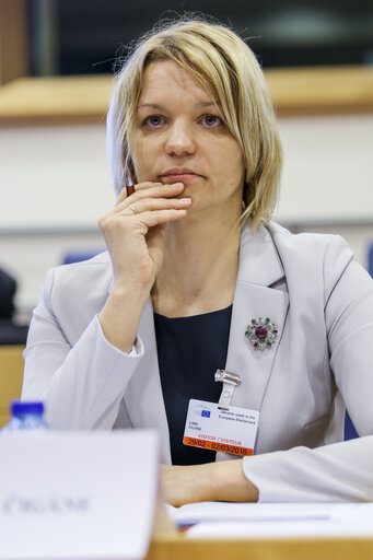 Fotogrāfija 18: Ukraine Week at the European Parliament - High-level conference EP - Verkhovna RADA of Ukraine on capacity building for reform.    High-level discussion - The role of political groups: towards a political culture of consensus and coalition building