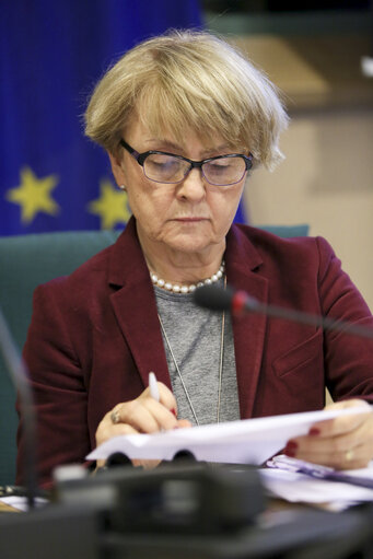 Photo 11 : Public hearing on ' E-Democracy in the European Union: Potential challenges '