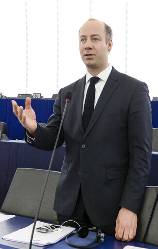 Fotó 5: Arne LIETZ takes part in Plenary chamber