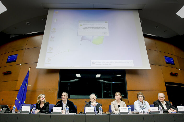 Photo 14 : Minority Intergroup Meeting