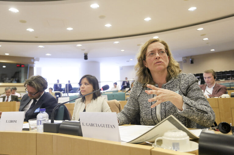 Photo 10 : Public hearing on ' E-Democracy in the European Union: Potential challenges '