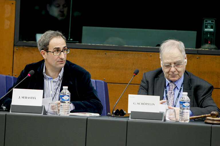 Photo 13 : Minority Intergroup Meeting