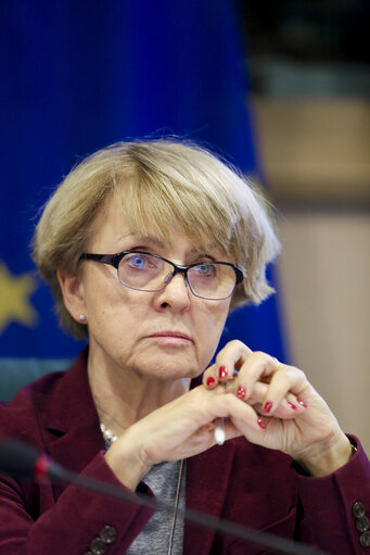 Photo 5 : Public hearing on ' E-Democracy in the European Union: Potential challenges '