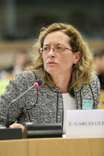 Photo 14 : Public hearing on ' E-Democracy in the European Union: Potential challenges '