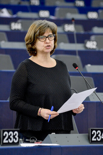 Zdjęcie 1: Plenary session week 10 2016 in strasbourg  Guidelines for the 2017 Budget - Section III Jens Geier