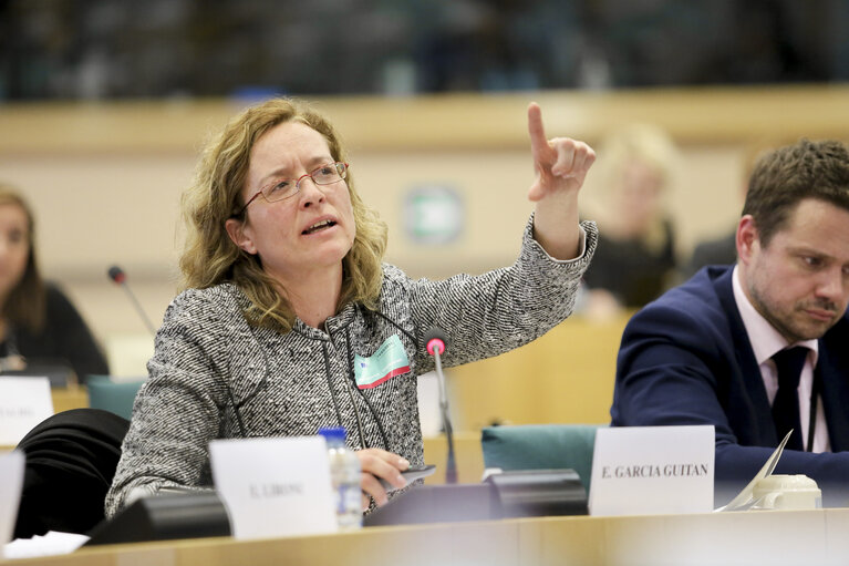 Photo 3 : Public hearing on ' E-Democracy in the European Union: Potential challenges '