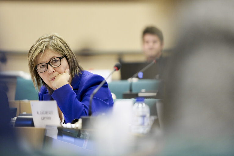 Photo 6 : Public hearing on ' E-Democracy in the European Union: Potential challenges '