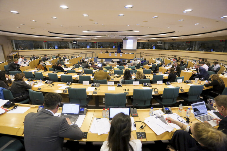 Photo 1 : Public hearing on ' E-Democracy in the European Union: Potential challenges '