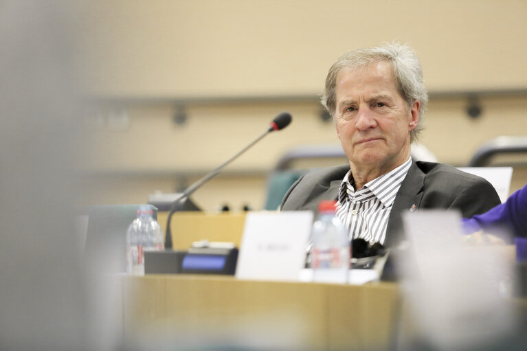 Photo 9 : Public hearing on ' E-Democracy in the European Union: Potential challenges '