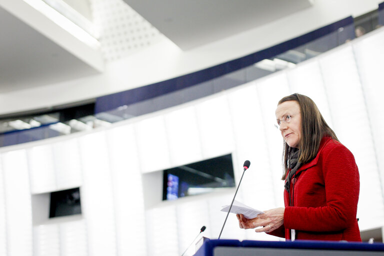 Photo 6 : Plenary session week 10 2016 in Strasbourg - Animals health