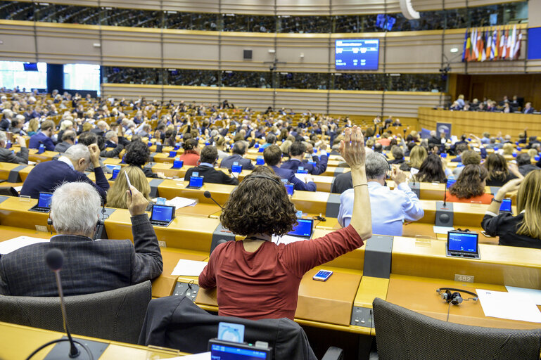 Photo 38: Plenary session in Brussels - Week 05  2017Votes and explanations of votes