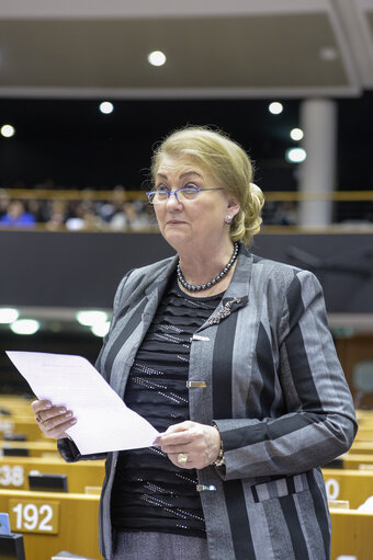 Photo 34: Plenary session in Brussels - Week 05  2017Votes and explanations of votes