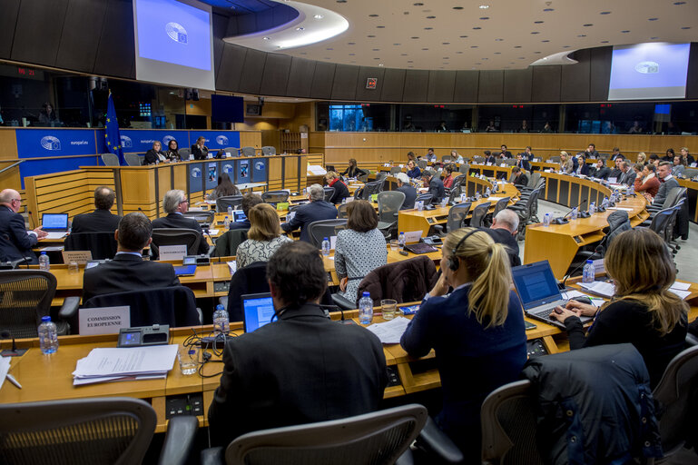 Fotografia 13: IMCO - Public hearing on European Standards for the 21st Century