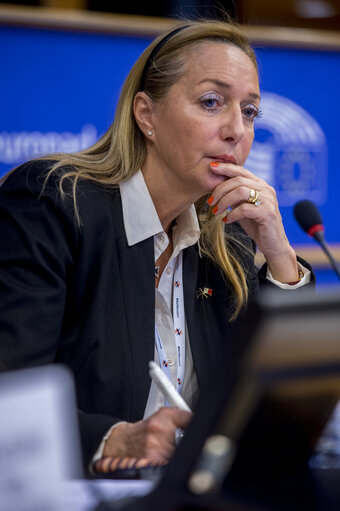 Fotografia 11: IMCO - Public hearing on European Standards for the 21st Century