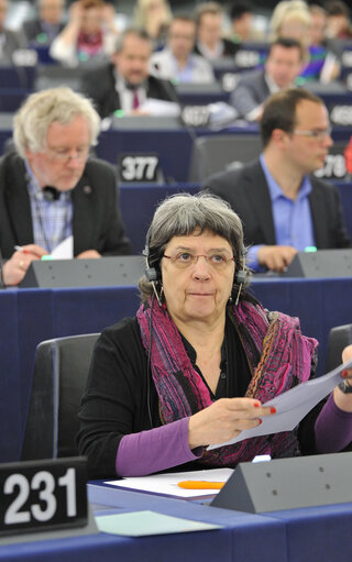 Foto 1: plenary session in Strasbourg week 21 - 2012, voting