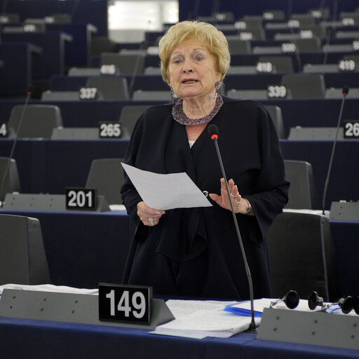 Fotografia 7: Plenary Session week 24 2012 - Member States in the euro area