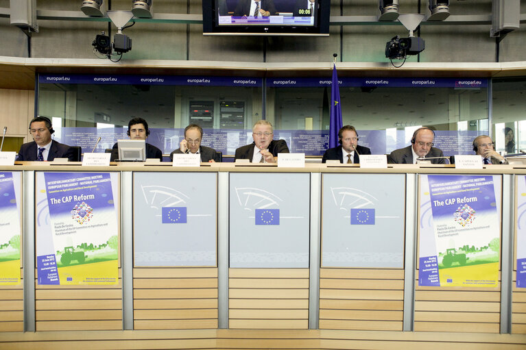 Interparlamentary committee meeting, EP - national parliaments