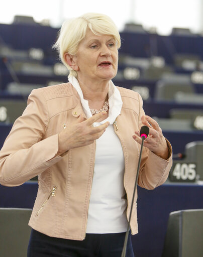 Zdjęcie 1: Plenary session week 19 2016 in Strasbourg - Explanations of votes