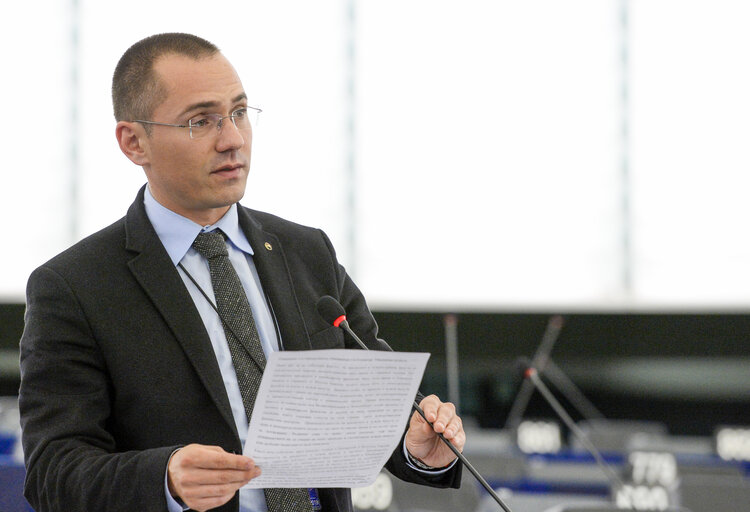 Foto 8: Plenary session week 19 2016 in Strasbourg - Foreign currency loans.