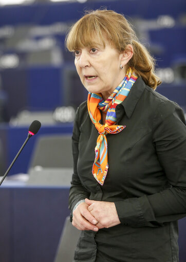 Foto 8: Plenary session week 19 2016 in Strasbourg - Explanations of votes