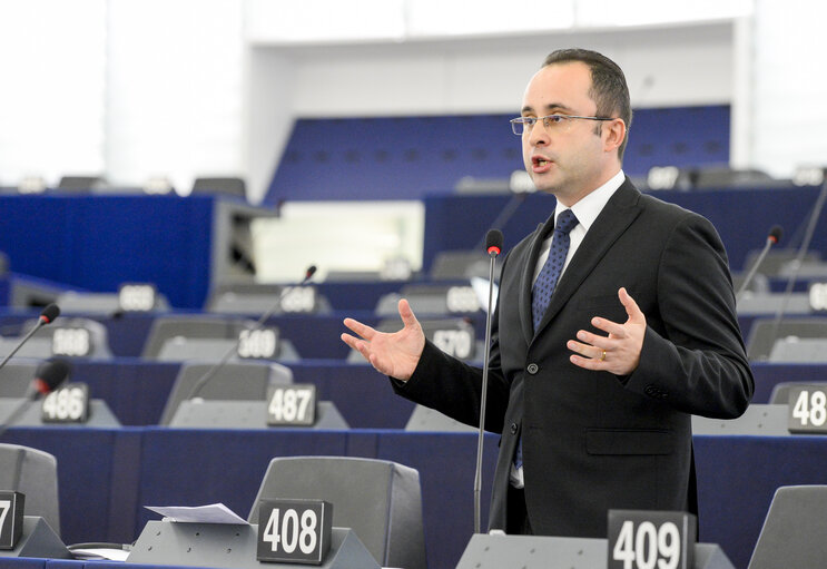 Foto 2: Plenary session week 19 2016 in Strasbourg - Foreign currency loans.