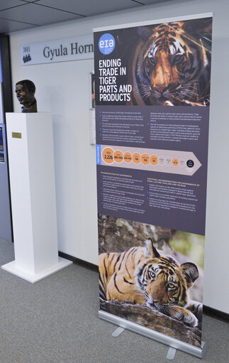 Foto 1: EIA meeting on Tiger trade