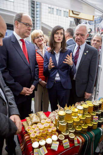 Foto 4: European week of bees and pollination - 5th edition. ' Bees caring for Europeans. Europeans caring for bees ?  ' -  Bee village