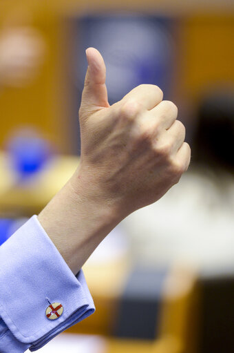 Fotografija 14: Plenary session week 21 2016 in Brussels.     Votes