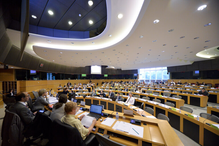 Joint AFCO and AFET Committee meeting. Public Hearing 'Hearing on ‘The Role of the EU in international organisations including the United Nations '