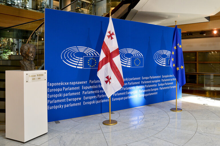 Official visit of the President of Georgia to the EP in Strasbourg