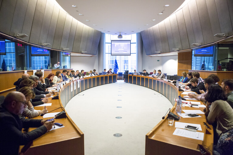 Fotografie 32: Sharing Economy: an European common approach or/and different measures ?