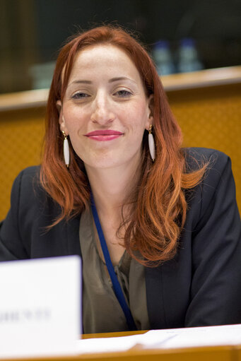 Sharing Economy: an European common approach or/and different measures ?