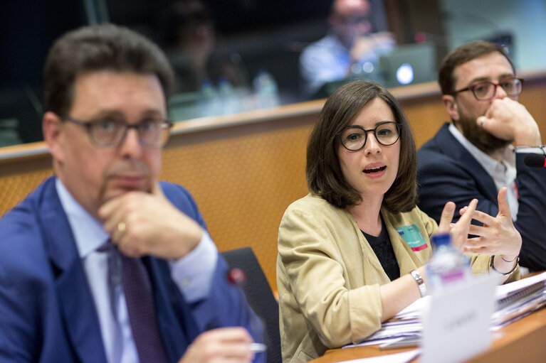 Fotografie 29: Sharing Economy: an European common approach or/and different measures ?