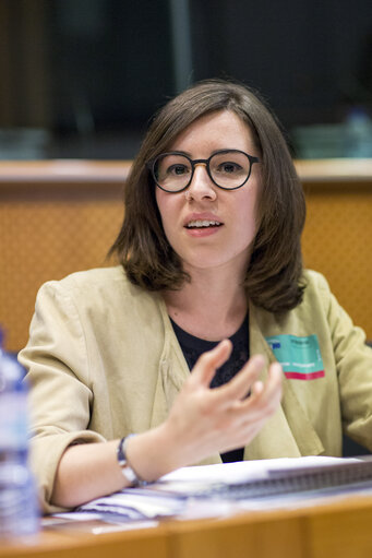 Fotografie 25: Sharing Economy: an European common approach or/and different measures ?