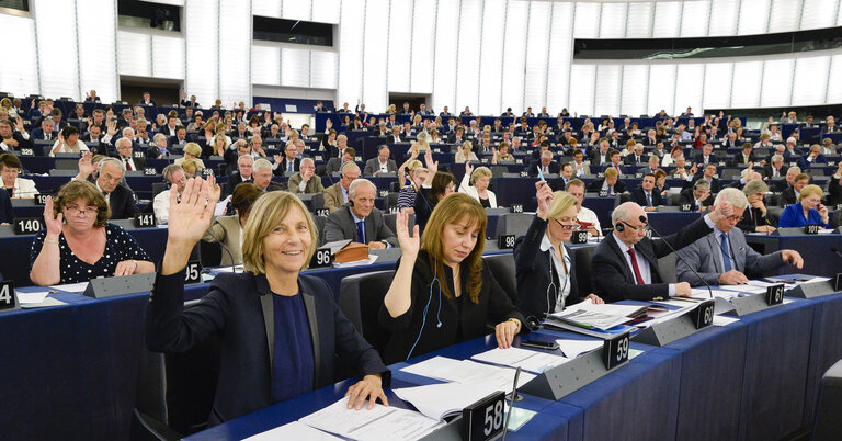 Marielle DE SARNEZ in plenary session week 23 2016 in Strasbourg