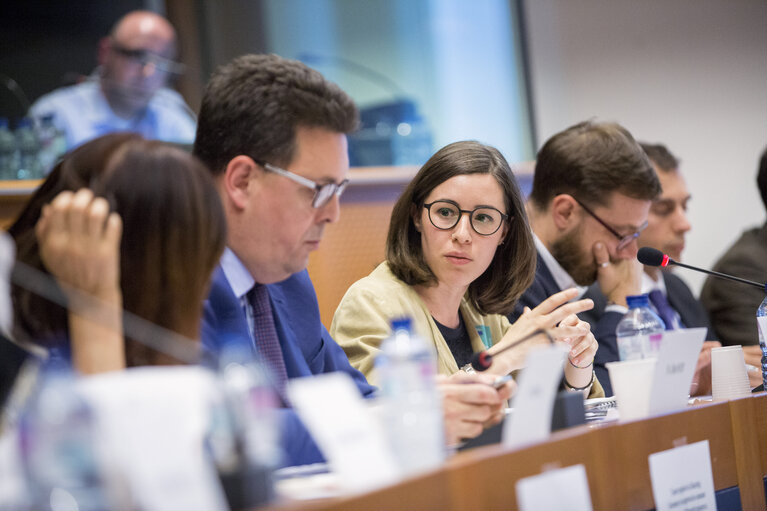 Fotografie 12: Sharing Economy: an European common approach or/and different measures ?