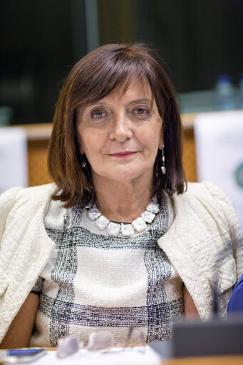 Fotografie 19: Sharing Economy: an European common approach or/and different measures ?