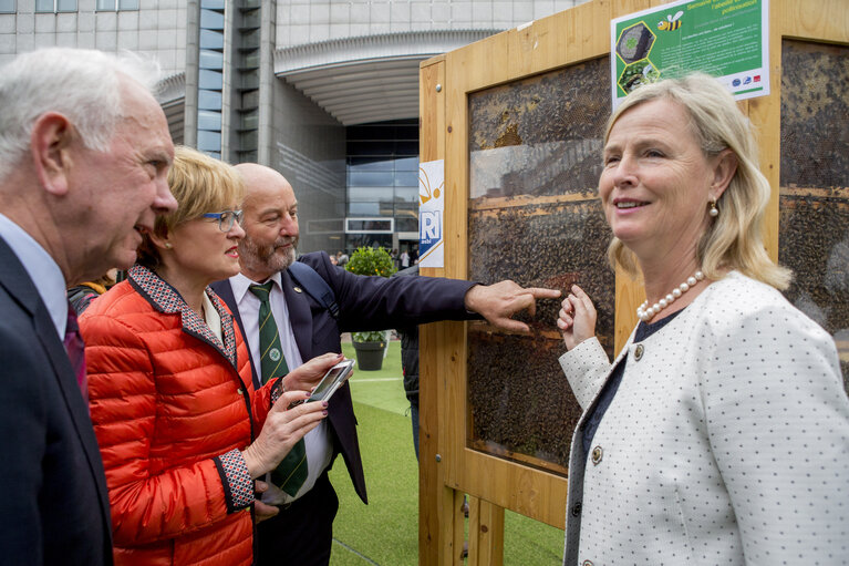 Foto 26: European week of bees and pollination - 5th edition. ' Bees caring for Europeans. Europeans caring for bees ?  ' -  Bee village