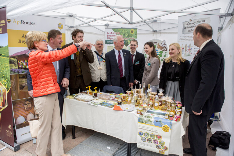 Foto 18: European week of bees and pollination - 5th edition. ' Bees caring for Europeans. Europeans caring for bees ?  ' -  Bee village