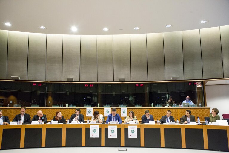 Fotografie 13: Sharing Economy: an European common approach or/and different measures ?