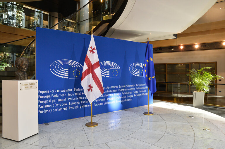 Official visit of the President of Georgia to the EP in Strasbourg