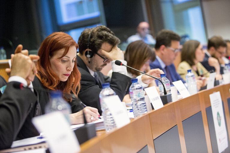 Fotografie 11: Sharing Economy: an European common approach or/and different measures ?