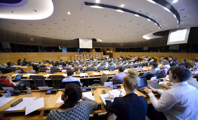 Joint AFCO and AFET Committee meeting. Public Hearing 'Hearing on ‘The Role of the EU in international organisations including the United Nations '