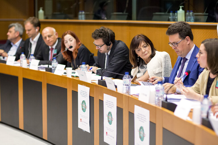 Sharing Economy: an European common approach or/and different measures ?