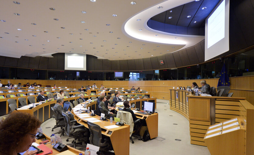 Joint AFCO and AFET Committee meeting. Public Hearing 'Hearing on ‘The Role of the EU in international organisations including the United Nations '